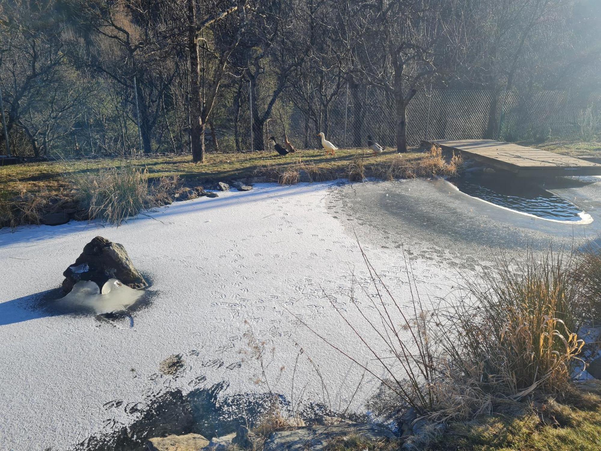 Apartment Silvretta Pians Zewnętrze zdjęcie